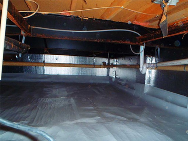Why Does Mold Grow In Your Crawlspace?
