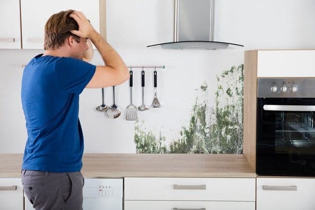 Kitchen Mold Dilemma