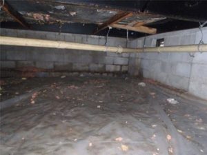 Crawlspace Mold: Tips and Tricks To Prevent It!: Did you know that 40% of the air in your home seeps up through your crawlspace. If mold is growing this will negatively impact the air you breath. This purpose of this article is to explain why mold grows in your crawlspace and how it could be contaminating your indoor air. In addition, we explain what you can do to fix the problem. Learn more!
