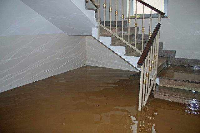 Got Water Damage? Here Are 9 Reasons You Should Call Professionals!