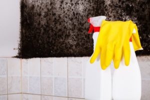 Killing Mold and the Myth of Bleach!: Some information on the web still suggests using chlorine bleach to kill mold in your home. Here are 3 compelling reasons not to.