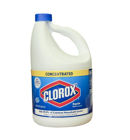Three Key Reasons Bleach Should Not Be Used For Mold Removal!