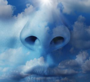 How Safe Is Your Indoor Air?: We spend 90% of our time indoors. This article explains why indoor air can cause sickness and corrective actions you can take!