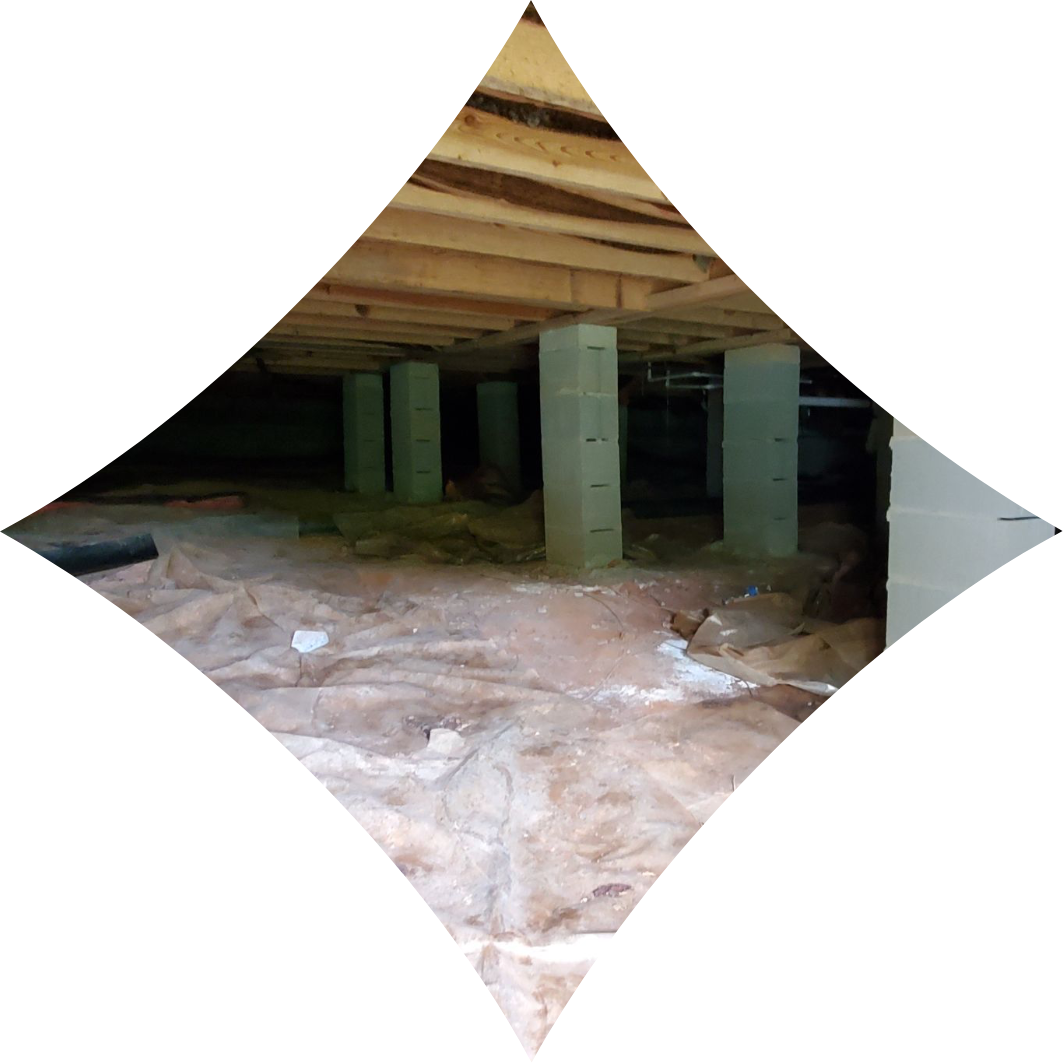 dirty crawl space with mold on struts | dirty crawl space | NuTech Mold & Water