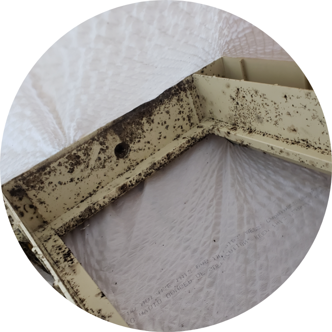 Homepage_Moldremoval Black Mold On Dresser Drawer | Black Mold | NuTech Mold & Water |