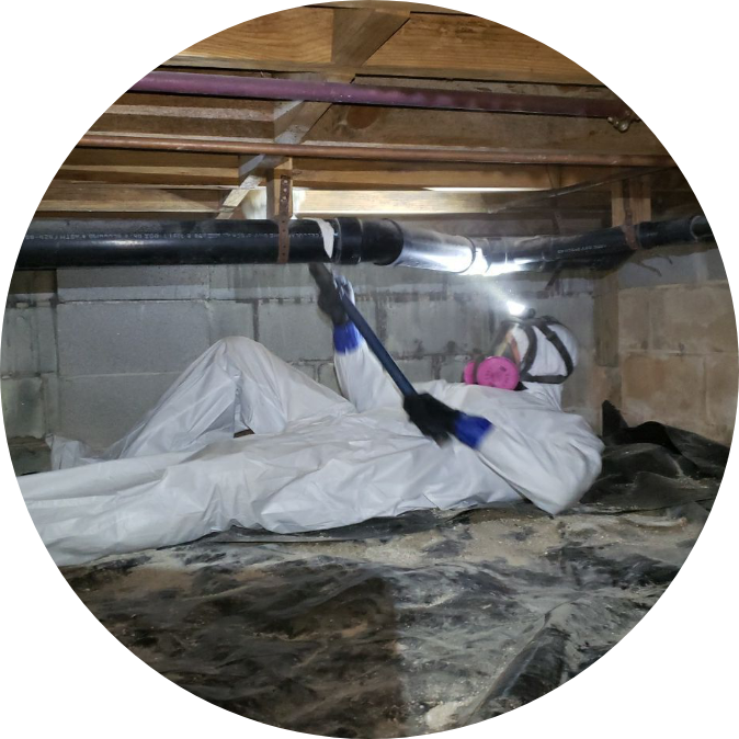 Man in crawl space removing mold | mold removal | NuTech Mold & Water | 