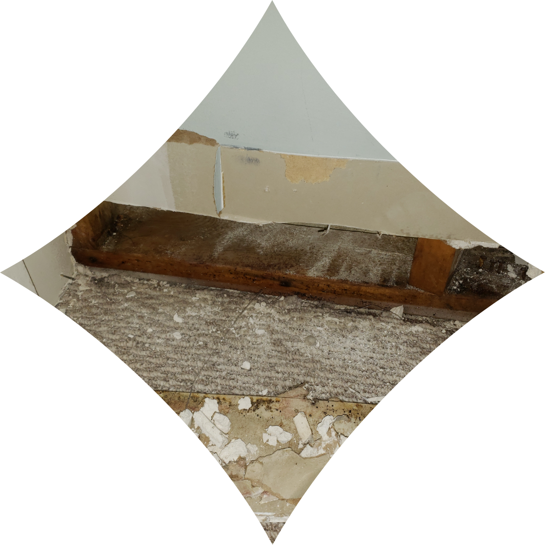 water damaged base board | water damage | NuTech Mold & Water |