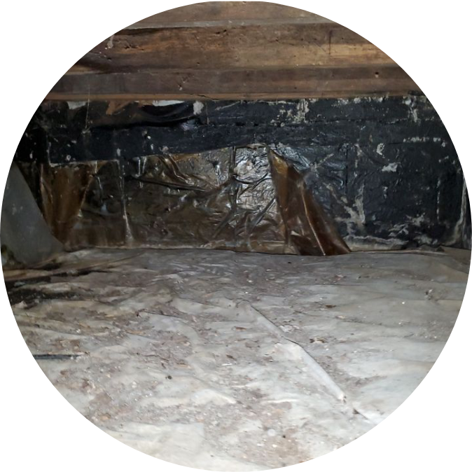 crawl space with mold and debris | NuTech Mold & Water