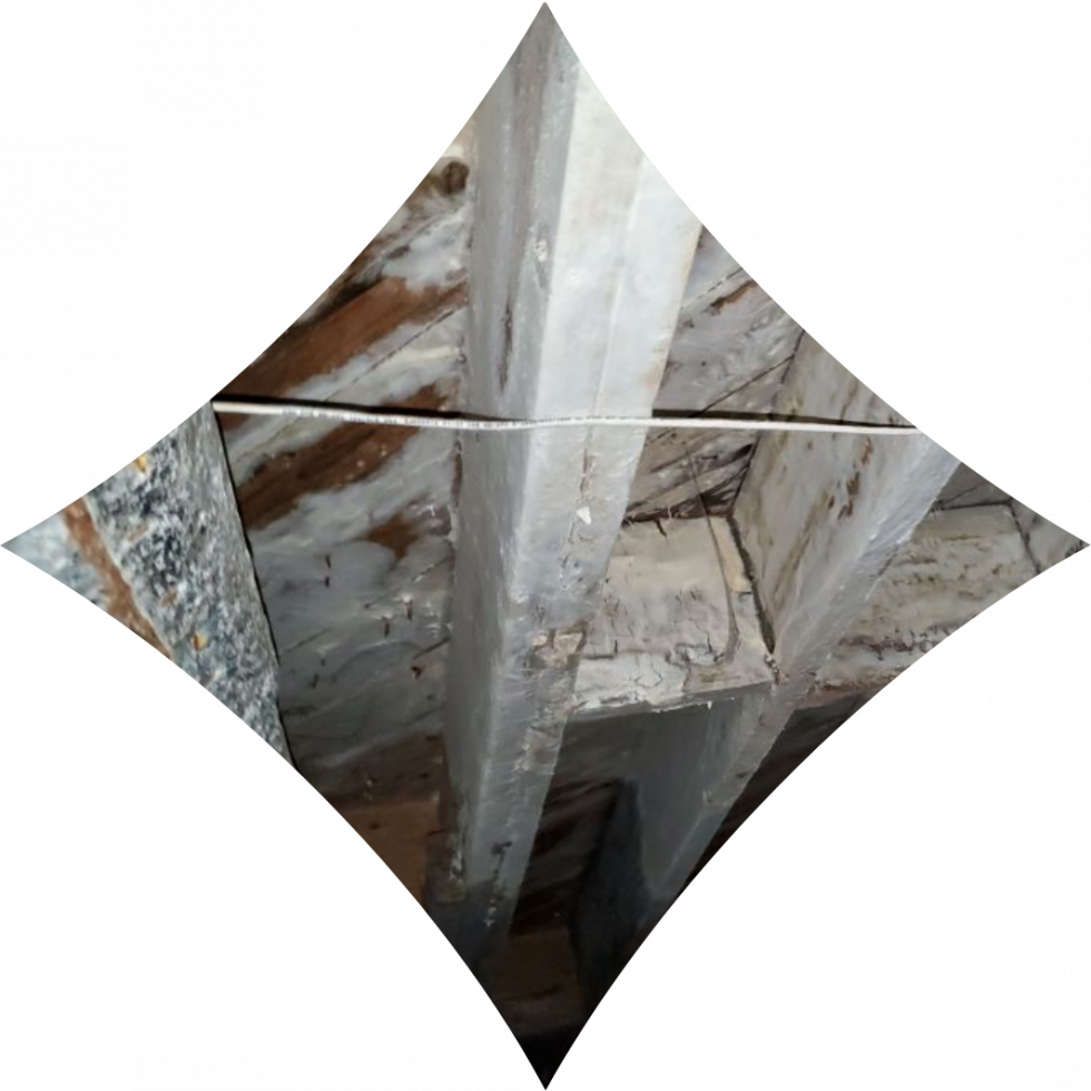 Mold Removal | NuTech Mold & Water | Mold Remediation Atlanta GA