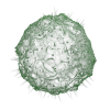 singlespore singlespore
